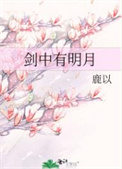 剑中之神电视剧全集